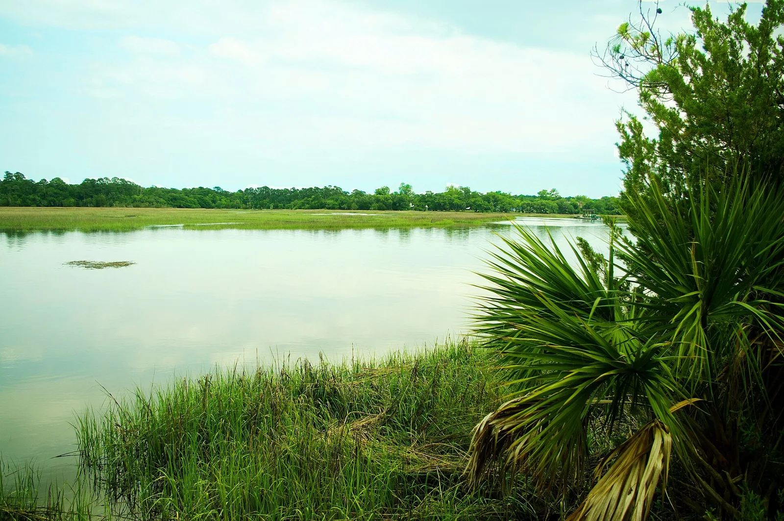 Lower Boone Hall Creek seen from a walkway at Palmetto Islands County Park, off Long Point Road in Mount Pleasant. The picture does not show this weekend's flooding.