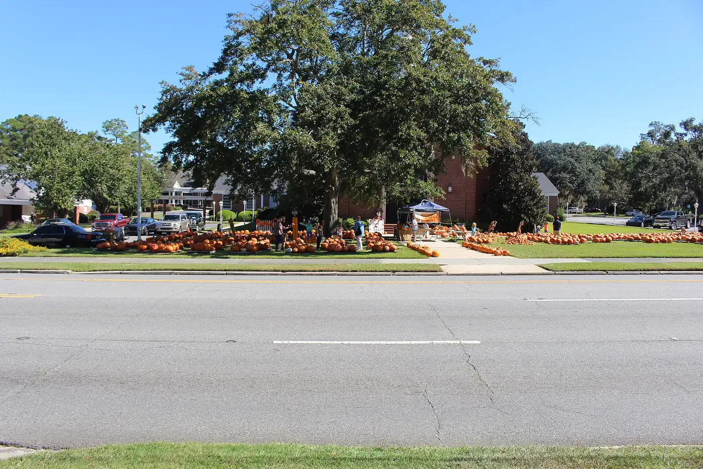 Rows of pumpkins for sale on a church lawn pumpkin patch in Valdosta, Georgia.