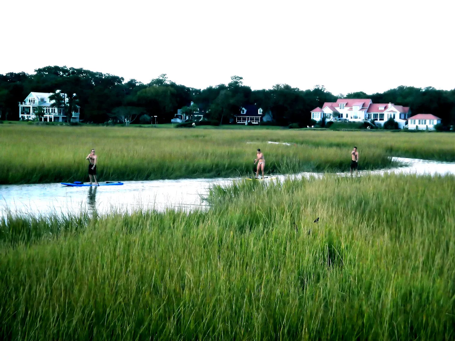 Paddleboarders follow a tidal creek through the marsh below waterfront homes in Mount Pleasant.