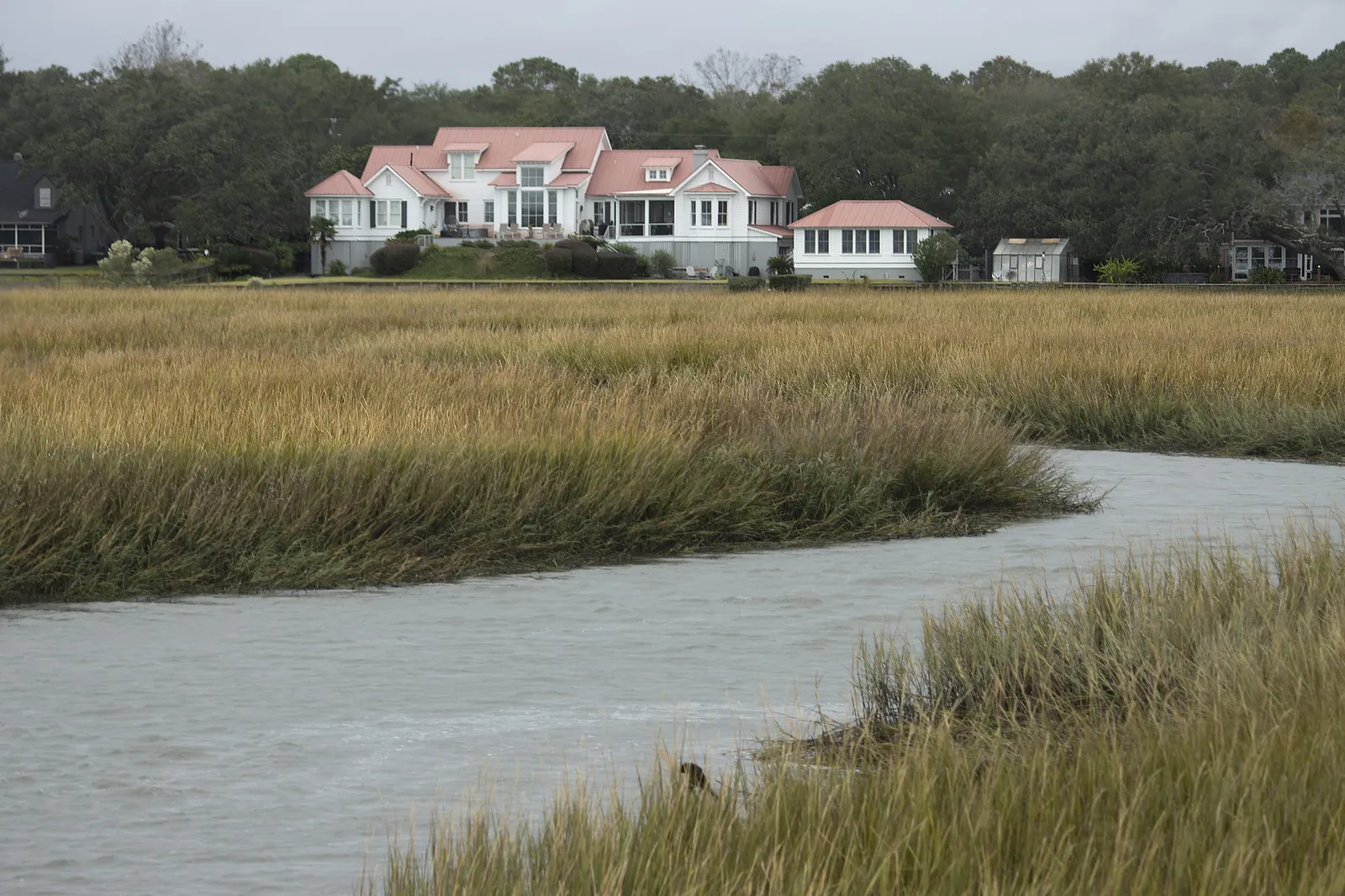 Marsh grass along Shem Creek in Mount Pleasant, with houses on the far bank.