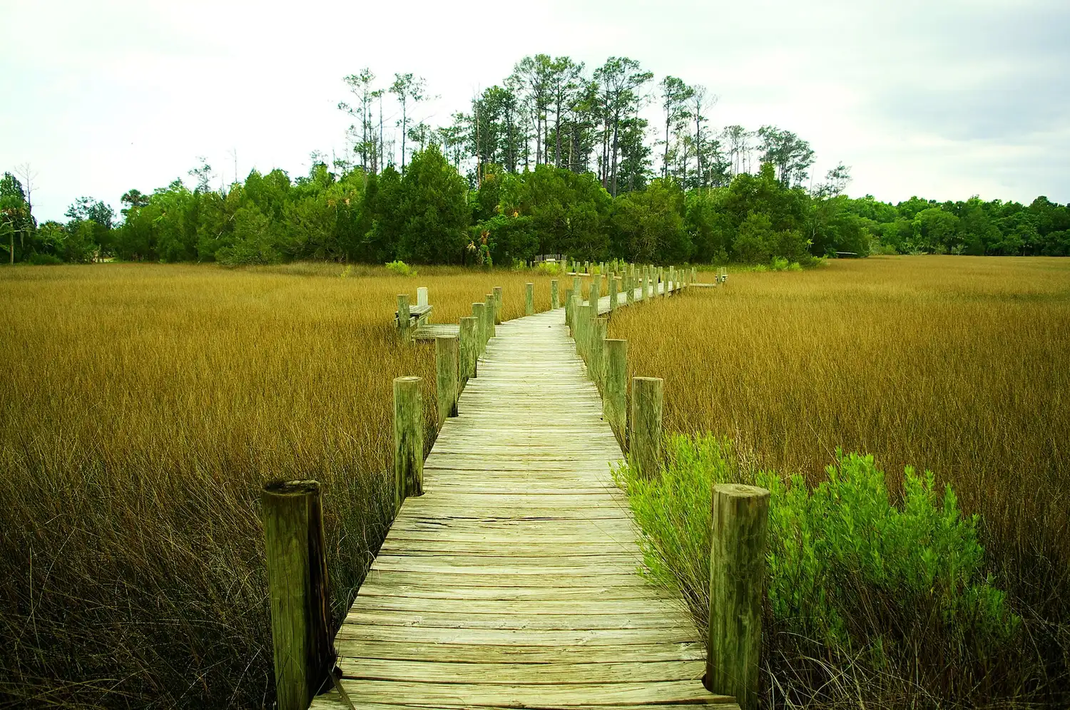 A boardwalk winds through the tidal marsh at Palmetto Islands County Park in Mount Pleasant.
