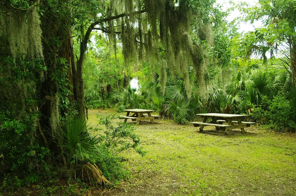 Picnic tables under live oaks and Spanish moss at Palmetto Islands County Park in Mount Pleasant, home of the Splash Island water park.