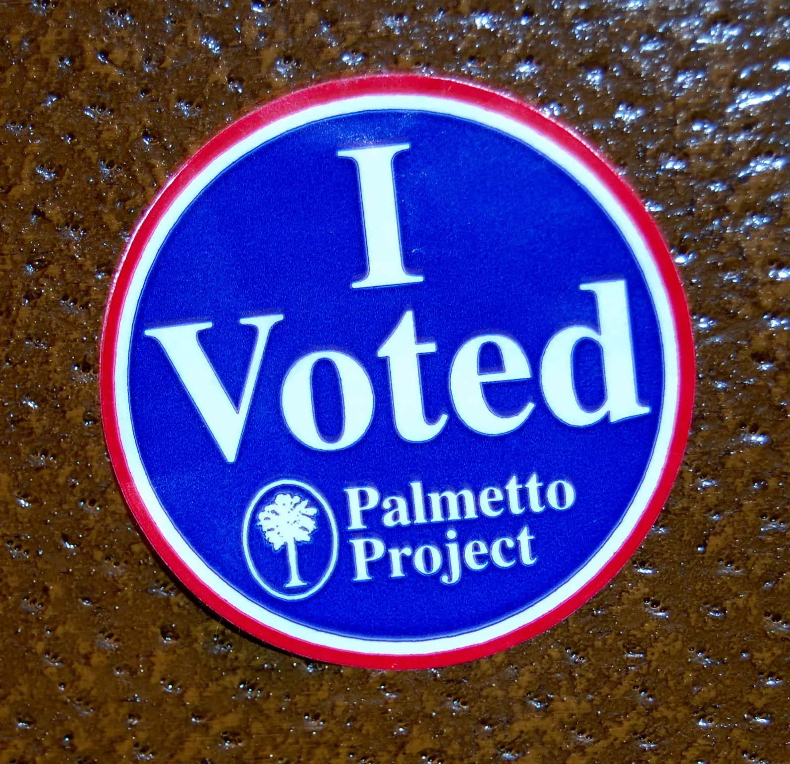 An "I Voted" sticker from a South Carolina election.